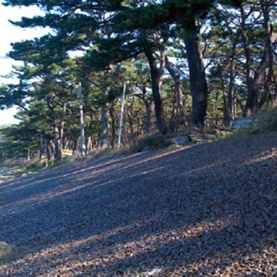 사구